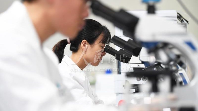 酶促反应步骤报价单：揭秘定制化生物实验的精准报价**