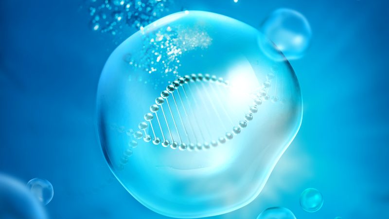 重组蛋白生物制品：揭秘上海优质厂家背后的技术奥秘**