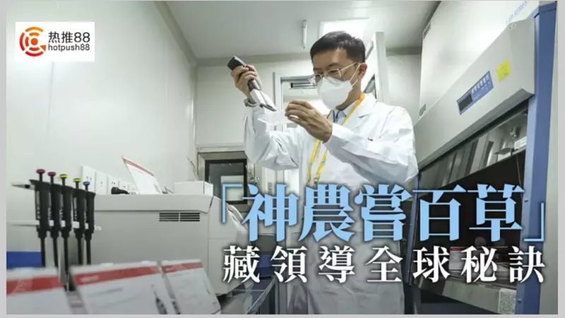 动物细胞培养：如何选择合适的生产厂家？**