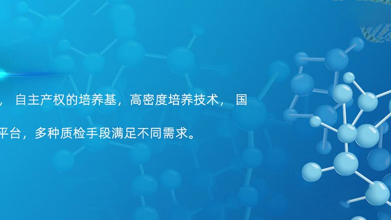 血清培养基与无血清培养基：探究两者的差异与应用