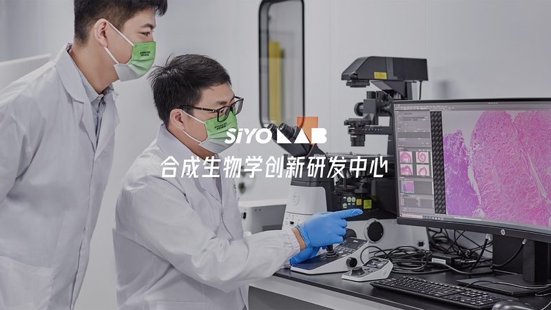 工业酶报价单背后的行业秘密：揭秘酶制剂的定价机制**