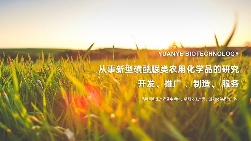 CDMO质量标准解析：揭秘药品研发背后的关键要素