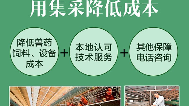 小分子CDMO工艺开发：揭秘药物研发背后的关键步骤**