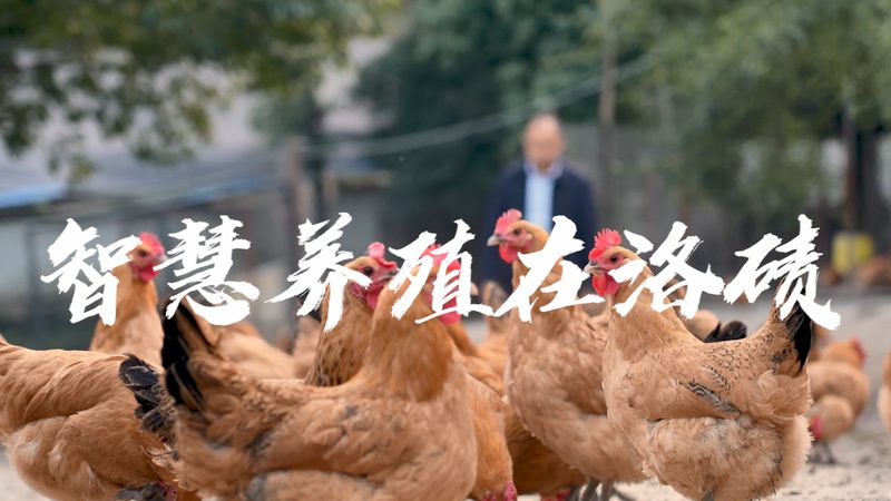 基因检测助力运动员提升竞技表现：标准解读与误区解析**