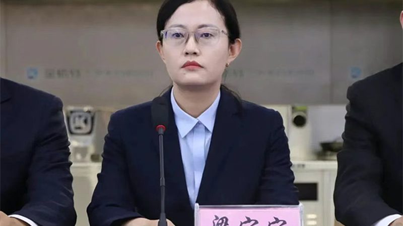 细胞工厂纯化工艺：揭秘其开发流程与关键要点