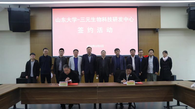 CDMO项目合作合同：关键要点与风险防范